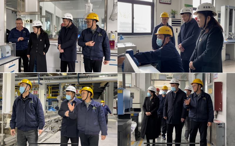 專家組參觀公司的研發技術中心、自動化生產線